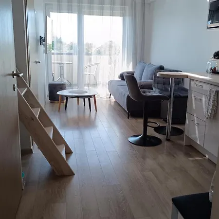 Tora Malunu Vilose Palanga